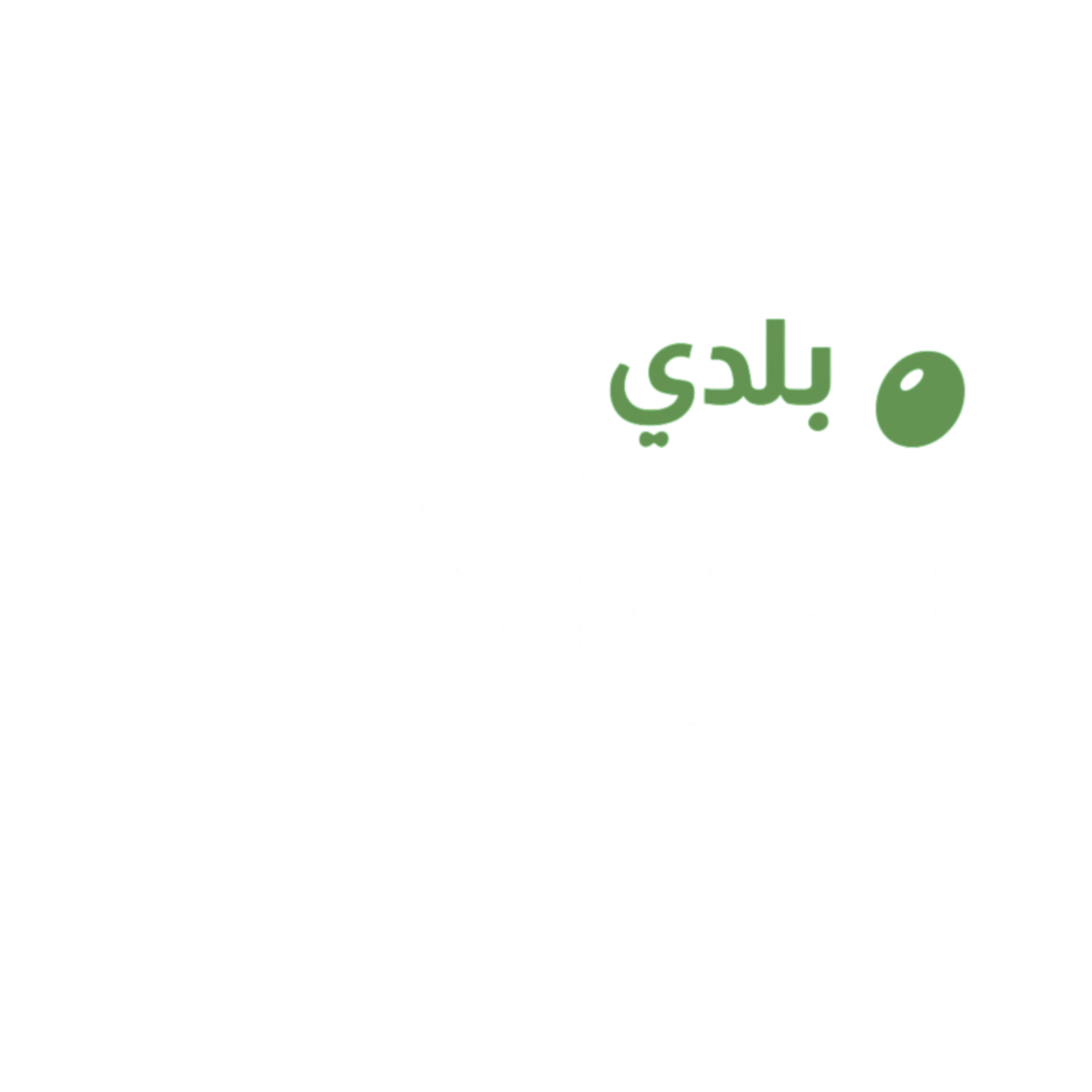 Baladi_logo